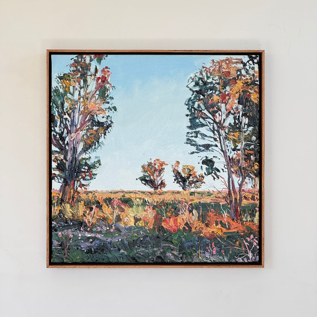 James Lyle - Late Afternoon Sun at Point Falls