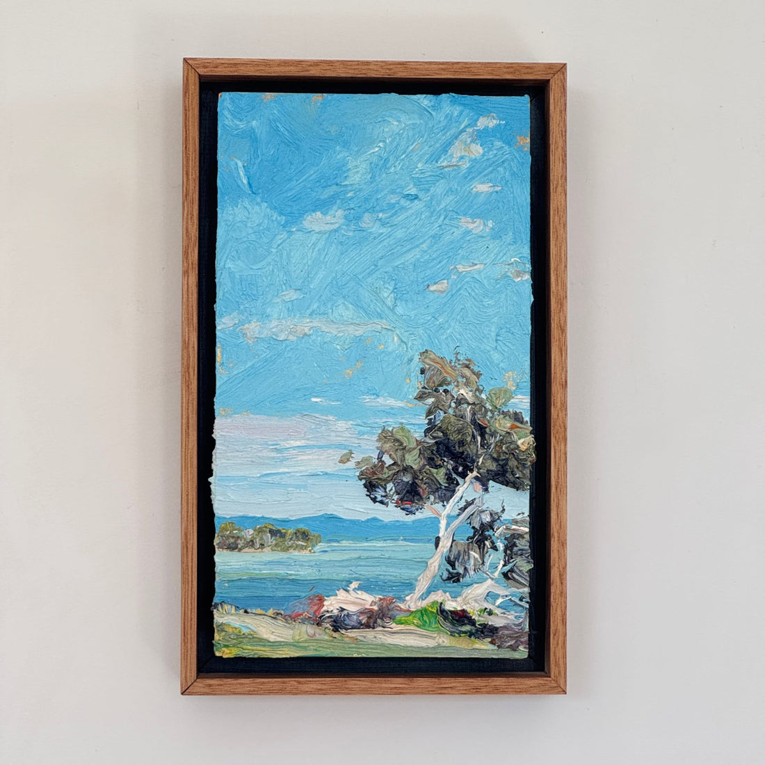 James Lyle - Sun on Wallis Lake, Booti Booti