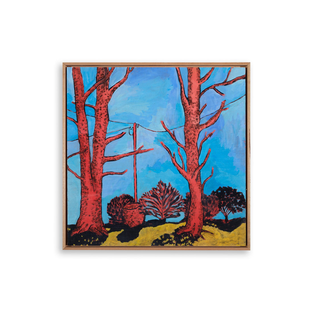 Neil Tomkins - Trees Kissing in Winter