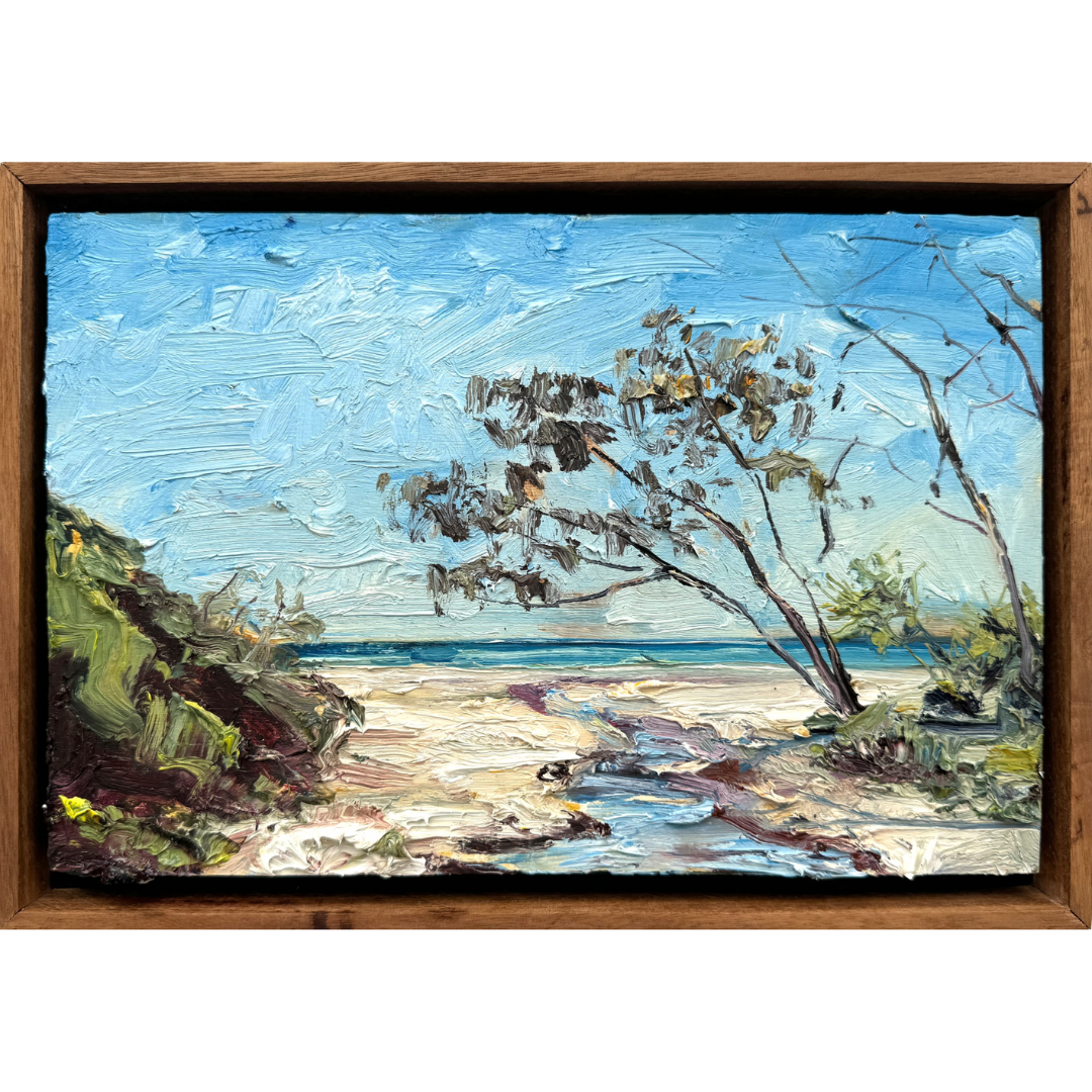 James Lyle - Morning Out of the Wind at Plumbago Beach