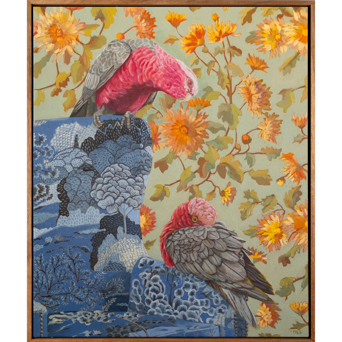 Fiona Smith - An Angel Like You, Galahs