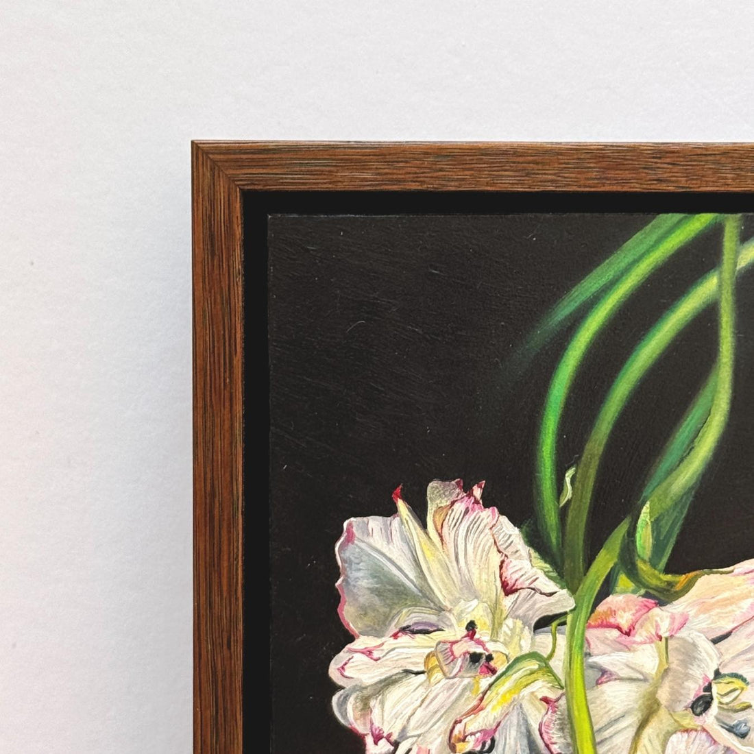 Melissa Hartley - Fading Tulips