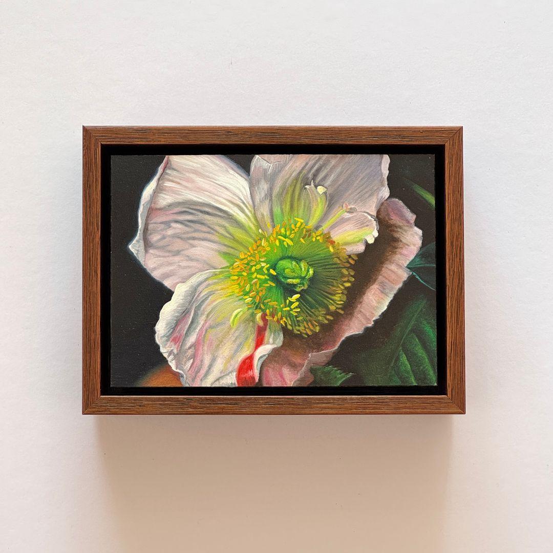 Melissa Hartley - Poppy