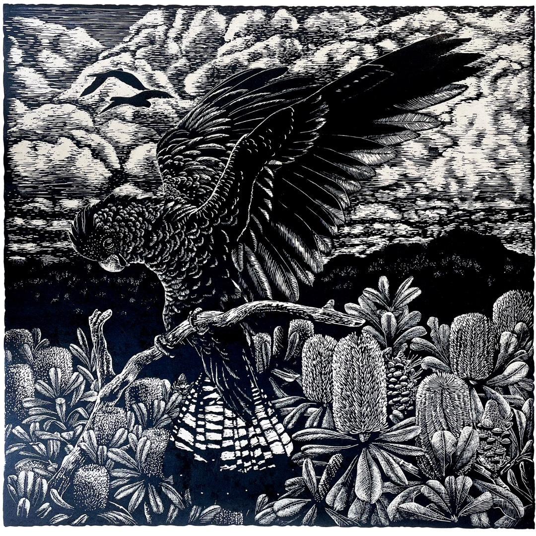 Peta West - Alight (Framed)