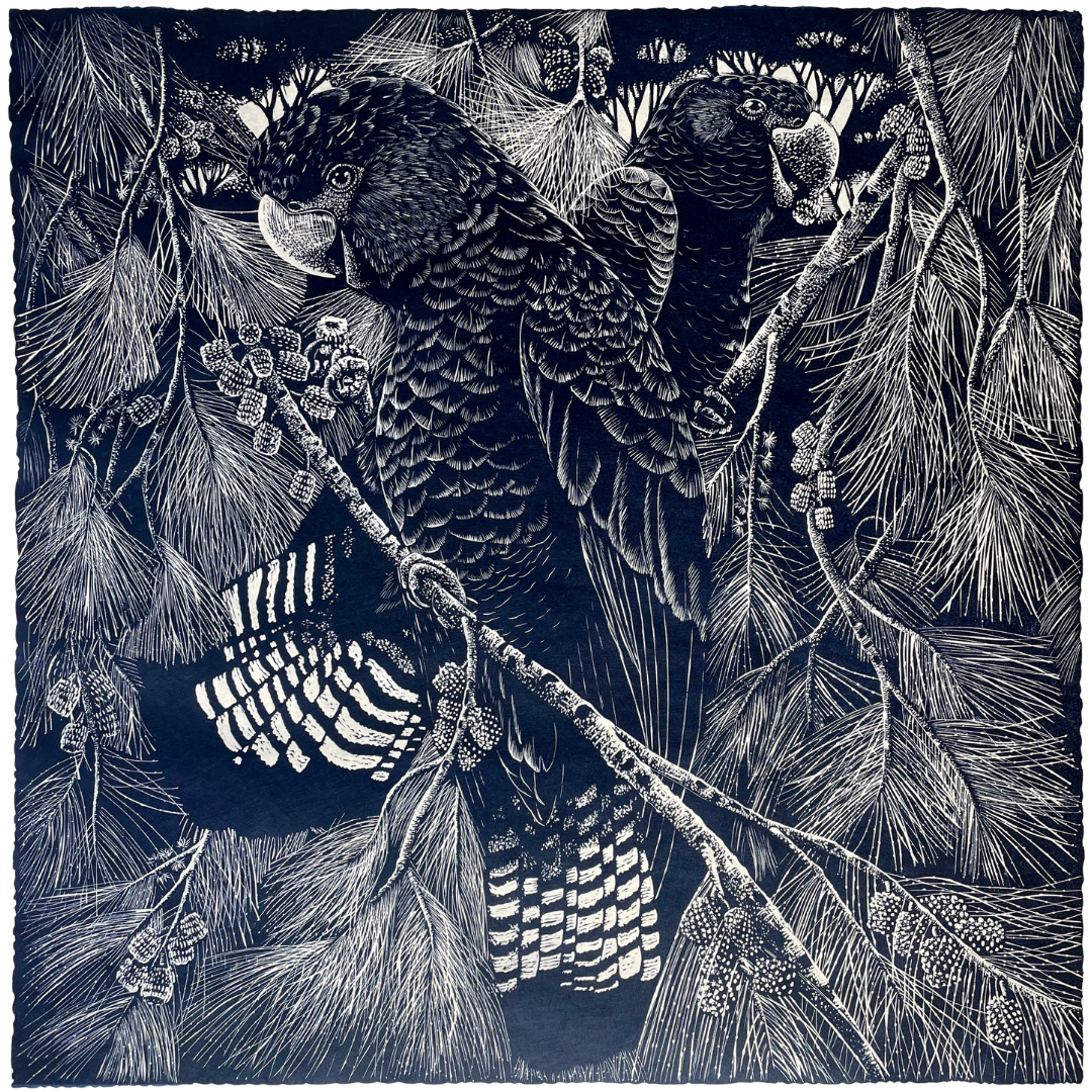 Peta West - She Oak Dwellers (Framed)